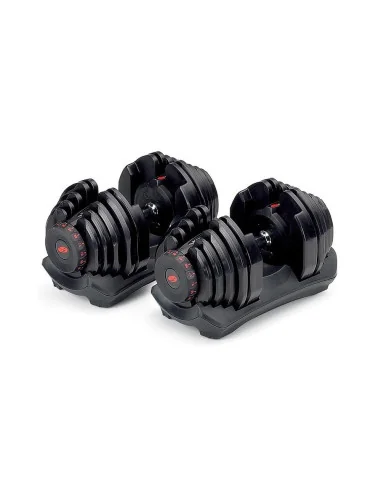 Pack Paire d'haltères réglables 1090i avec support stand SelectTech Bowflex 1090i avec banc de musculation 4.1S 