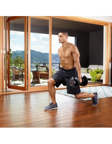 Paire d'haltères réglables SelectTech Bowflex 1090i 