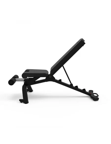 Banc de musculation Bowflex SelectTech 4.1S 