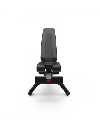Banc de musculation Bowflex SelectTech 4.1S 