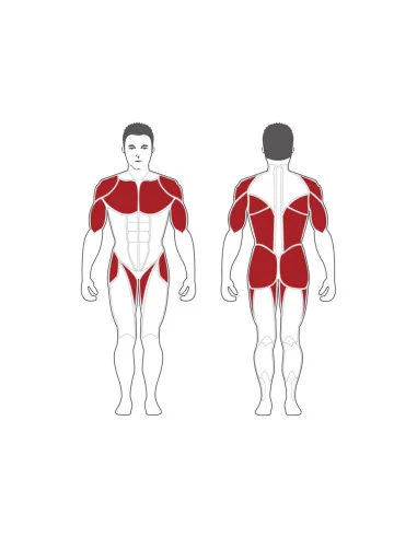 Dual Cable Column/Chin-Up Machine Steelflex...
