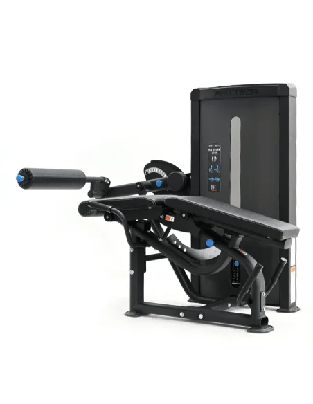 Dual Leg Extension et leg Curl allongé FFITTECH PRO