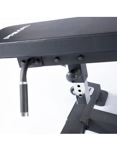 Extension des jambes et curl des jambes en position couchée de la série Primal Pro avec plaques de charge. 