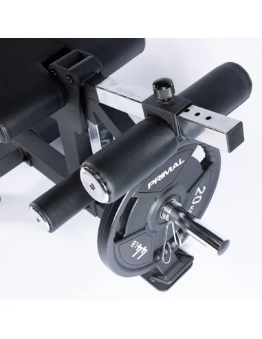 Extension des jambes et curl des jambes en position couchée de la série Primal Pro avec plaques de charge. 