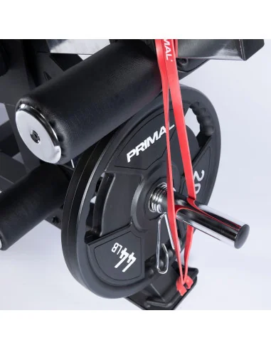 Extension des jambes et curl des jambes en position couchée de la série Primal Pro avec plaques de charge. 
