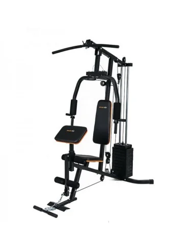 Station multifonction et cable cross avec arm curl inclus EVERFIT MSK-500 