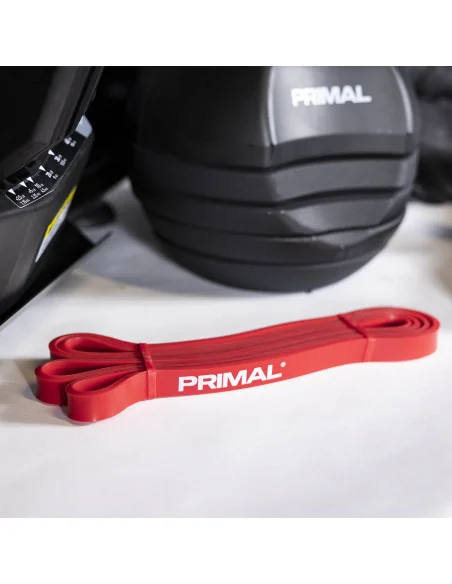 Banc HIIT Primal Personal Series avec accessoires et haltères  Banc HIIT Primal Personal Series avec accessoires et haltères
