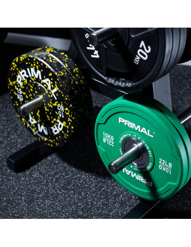 Arbre de rangement pour disques de poids de la série Primal Performance 