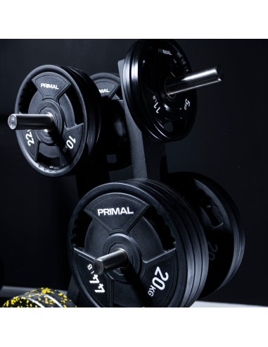 Arbre de rangement pour disques de poids de la série Primal Performance 