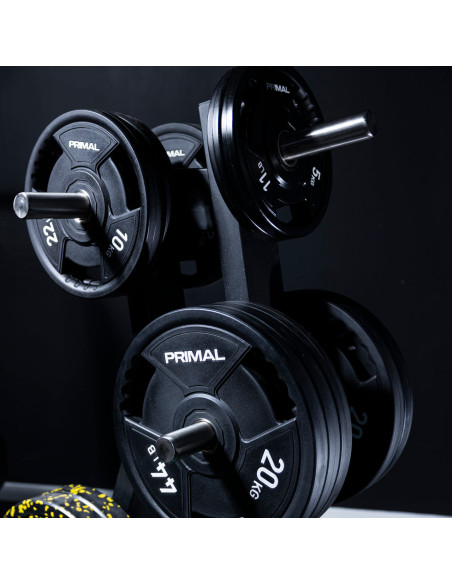 Arbre de rangement pour disques de poids de la série Primal Performance 