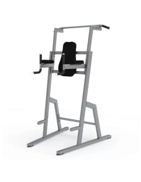 Chaise romaine dips + barre fixe LAROQ Tannac-Home-musculation-Pas cher