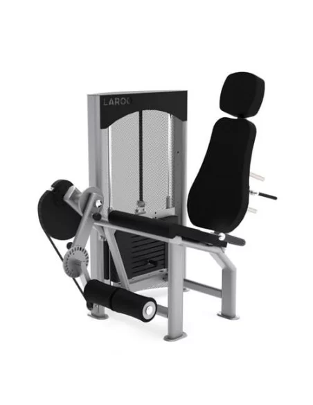 Quadriceps - Laroq - Tannac-Home-musculation-Pas cher