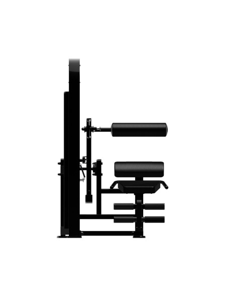 Série Primal Performance 125kg à sélection de broches - Crunch Abdominaux/Extension du Dos 