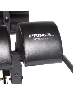 Série de Performance Primal GHD  2