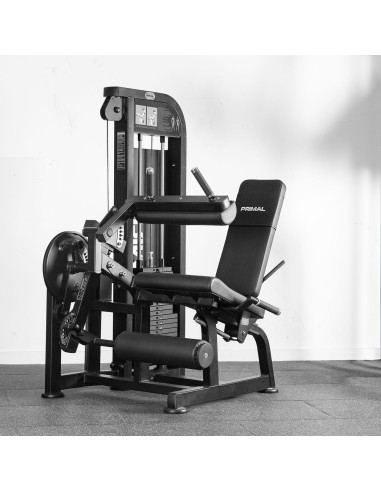 Série Primal Performance 125 kg à sélection par broche - Extension de jambes/Leg Curl assis 