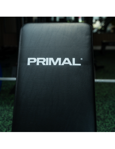 Banc réglable pliable à plat de la série Primal Personal. 
