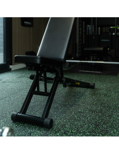 Banc de musculation réglable pliable de la série Primal Personal 