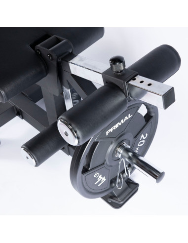 Série Pro Primal Extension des Jambes avec Charge par Plaques & Curl des Jambes en Position Couchée 