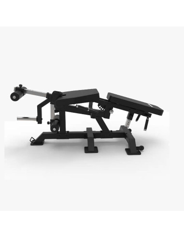 Série Pro Primal Extension des Jambes avec Charge par Plaques & Curl des Jambes en Position Couchée 