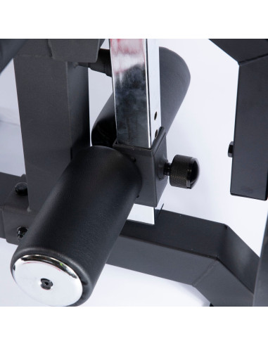 Série Pro Primal Extension des Jambes avec Charge par Plaques & Curl des Jambes en Position Couchée 