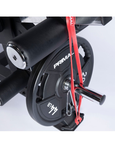 Série Pro Primal Extension des Jambes avec Charge par Plaques & Curl des Jambes en Position Couchée 