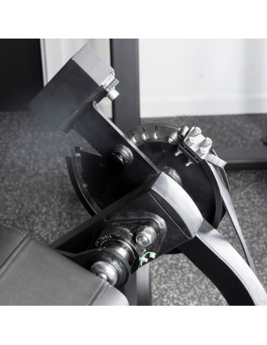 Série Primal Performance Chargement de Plaques ISO Curl Biceps 