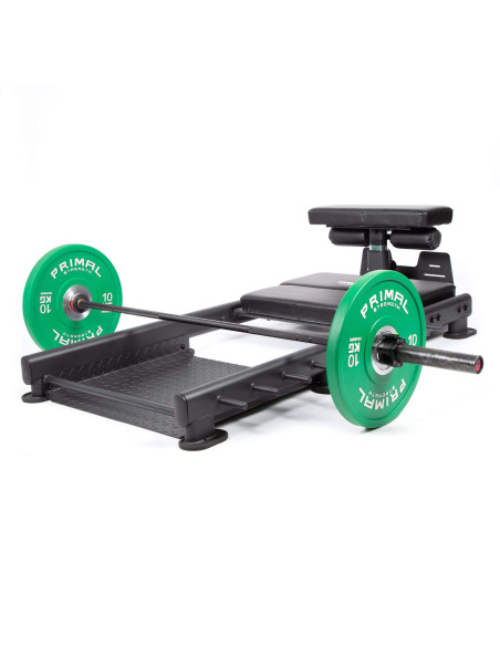 Série de performance Primal : Appareil de musculation pour hanches et GHD au sol 