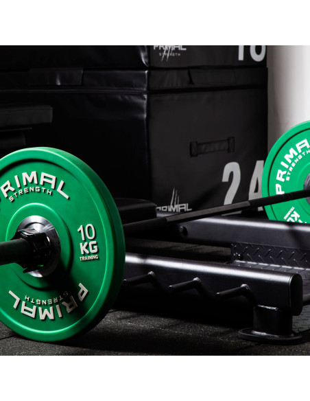 Série de performance Primal : Appareil de musculation pour hanches et GHD au sol 