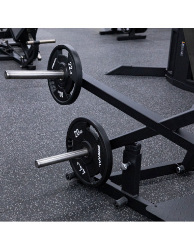 Série de Performance Primal Presse à Poitrine Debout 