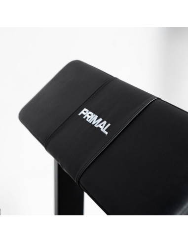 Primal Performance Series Plaque de Chargement ISO Curl Debout pour Ischio-jambiers - EX DEMO 