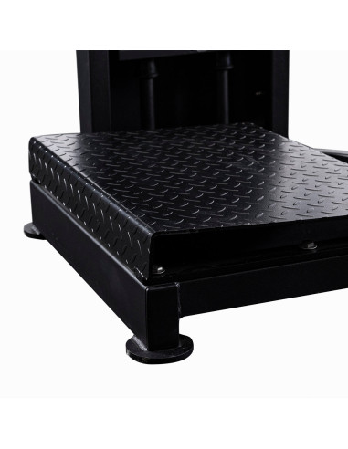 Série Performance Primal 125kg à sélection de charge - Élévations de mollets debout 