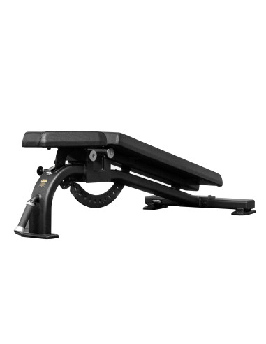 Banc réglable de la série Primal Performance Club 