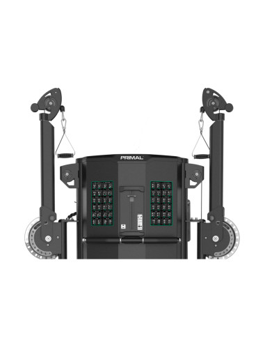 Série Primal Performance Entraîneur Fonctionnel à Double Bras 