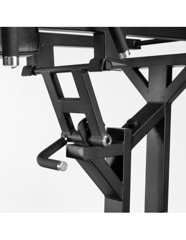 Série Primal Pro V2.0 Squat à levier commercial 