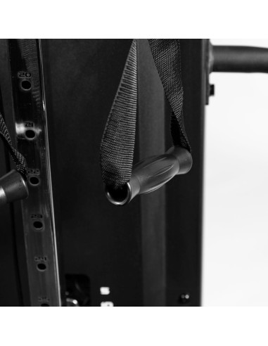 Série Pro Primal Poulie Hi/Lo Autoportante avec Barre de Traction 