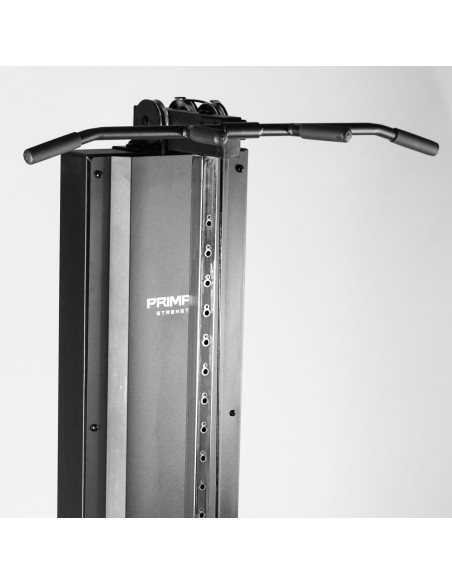 Série Pro Primal Poulie Hi/Lo Autoportante avec Barre de Traction 