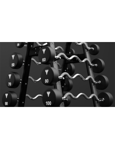 EZ Curl Barbell 