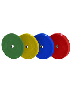 FIT Bumper Plates  2