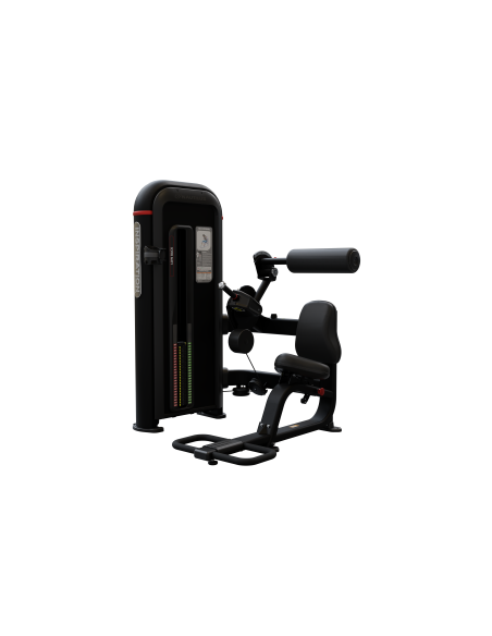 Inspiration®  Back Extension 