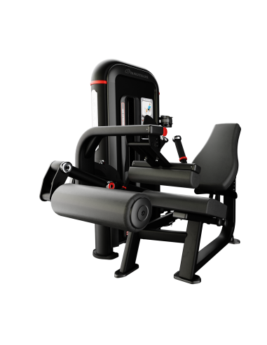 Inspiration® Leg Curl 