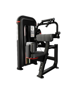 Inspiration® Triceps Extension
