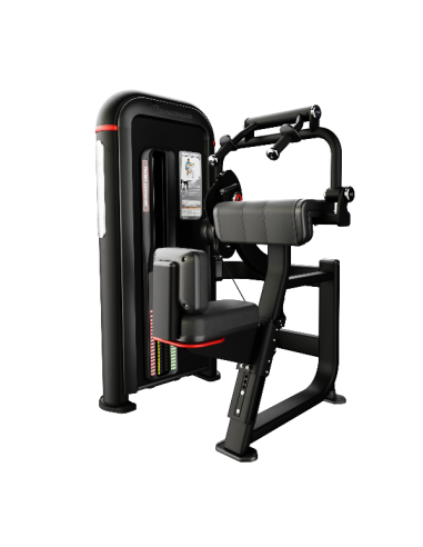Inspiration® Triceps Extension 