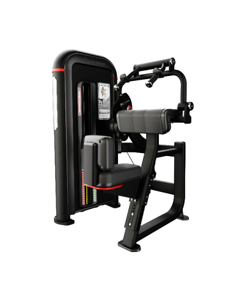 Inspiration® Triceps Extension 