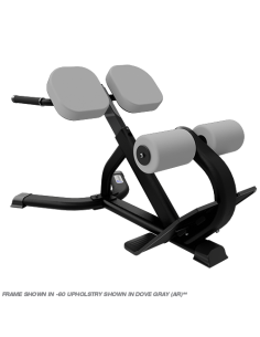 Instinct® 45° Back Extension