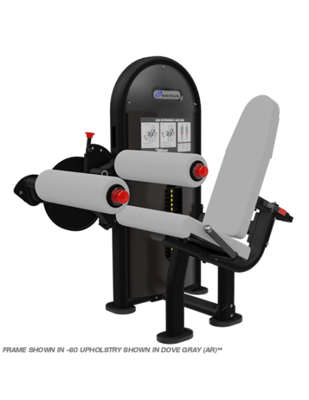 Instinct® Dual Leg Extension/Leg Curl 