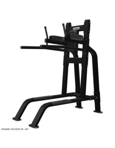Leg Raise/Dip