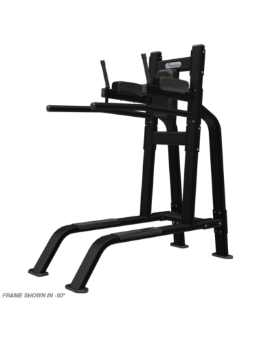 Leg Raise/Dip 