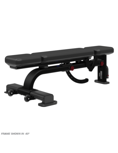 Multi-Adjustable Bench 