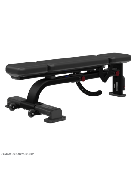 Multi-Adjustable Bench 