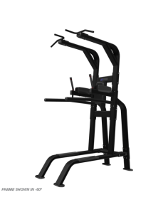 Pull-Up/Dip/Leg Raise